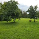 풍납백제문화공원 화장실 이미지