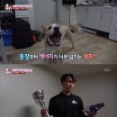 챔피언농장 이미지