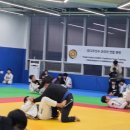신탄진열쇠도장 | 주짓수 도장 파다주짓수석봉에서 느낀 훈련 분위기 후기