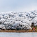 “삿포로보다 아름다워!”...환상적인 겨울 설경을 자랑하는 제주 명소 BEST5 이미지