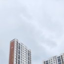 일등센트럴단지내공인중개사사무소 이미지