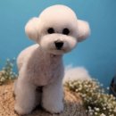 멍블멍블 이미지