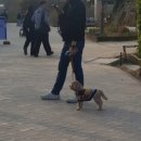 M-1 | [다누앤 힐링맥스 M-1] 착용 후기 (3주 &amp; 3년)