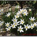 설천면보건지소 이미지