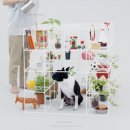 불독하우스 이미지