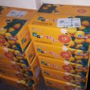 이강인농장 이미지