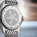 오션스타 이미지