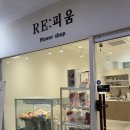 리피움플라워 | 리피움플라워 판교점에서 미니꽃다발 당일예약 주문 후기 (내돈내산)