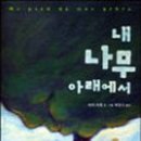 나무아래 이미지