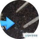 청보한의원 이미지