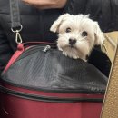 선화로8길 이미지