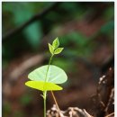 히든밸리펜션 이미지