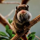 진리치과의원 이미지