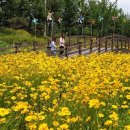 광려천 힐링산책로 이미지