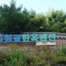 심청골민박 이미지