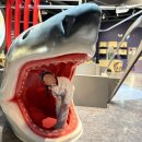 목재문화자연사체험관 | 청양패스 목재문화자연사체험관 아이랑 추천