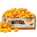 나영이네