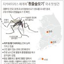 그래픽바이러스 이미지