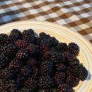 썸원스테이지 이미지