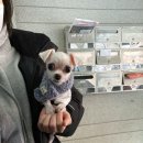 신안동3 이미지