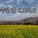 6월 둘째주 주일 낮예배 대표기도예문 모음 이미지