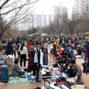 YMCA 녹색장터 이미지