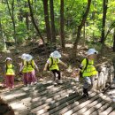 반디숲어린이집 이미지