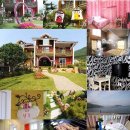 로즈마리팬션 이미지