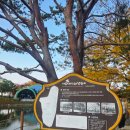 7번가피자평택고덕국제신도시점 | 평택 제8회 핑크뮬리 바람새마을축제 &amp; 소풍정원 인생 가족사진 명소 늦은 후기!