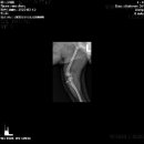 유앤아이동물병원 이미지