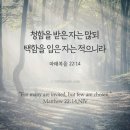 은혜예복 이미지