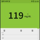 너구리 | 🥯 합정 너구리 베이글 후기:맛과 건강을 담은 베이글