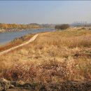 곡교천길 이미지