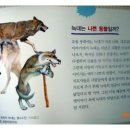 빨간모자 이미지