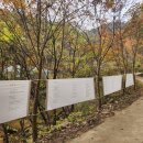 시전농장 이미지