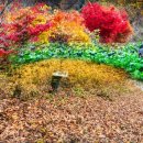 서당경로당 이미지