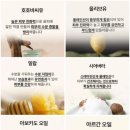 냥스터치 이미지