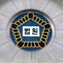 쌍둥이유통 뉴시스