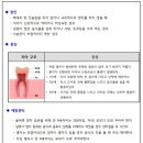 가정방문간호사 가정통신문 이미지