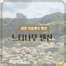 느티나무펜션 | 광양 옥룡계곡 평상 느티나무 펜션 [내돈내산] 이용 방문 후기