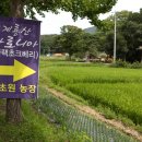 청초원