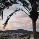 엘리스테이 | 여수 밤바다 감성 그대로, 뷰가 끝내주는 엘리스테이 여수 후기 여수펜션 여수풀빌라 여수가볼만한곳