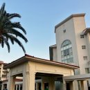 지상농장 | 제주 표선 소노캄 스탠다드뷰 패밀리트윈 감귤농장패키지