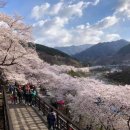 지리산 팔베개 이미지