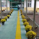 남성초교 병설 유치원 이미지