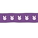 동해숯불장어 이미지