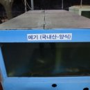 원조옥수골메기탕