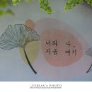 도리2천 이미지
