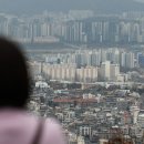 강서구-46 이미지