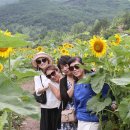 여주-0857 Daum카페